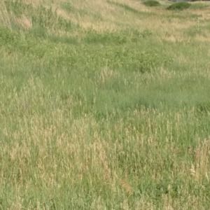 Meet your Posher, Jesse